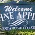 Pineapple graphic